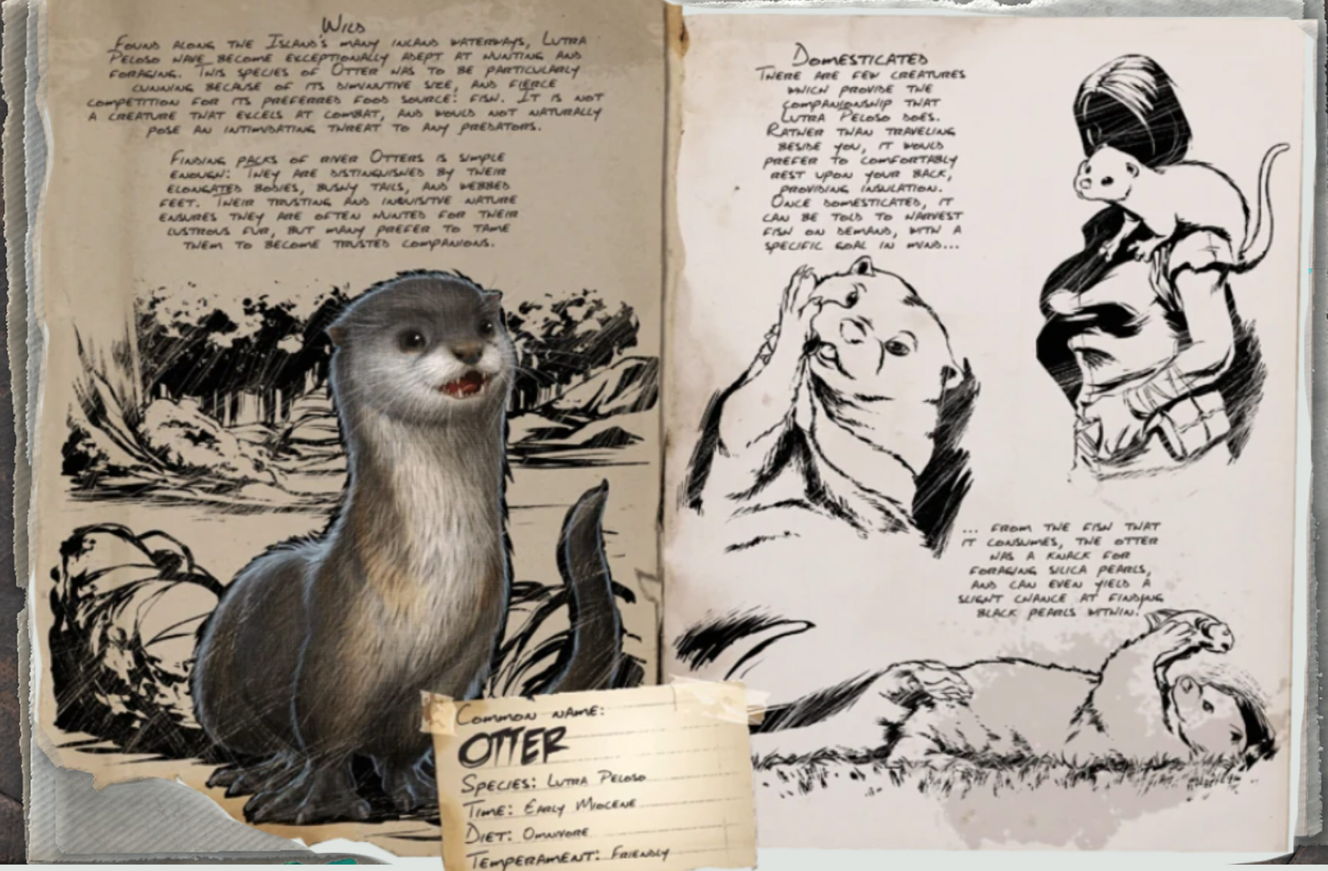 カワウソ Otter 評価 Ark魂ーps4版ー