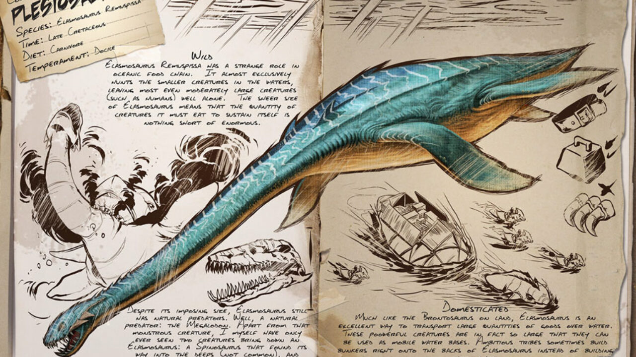 Plesiosaurs プレシオサウルス プレシオサウルス類 - Wikiwand